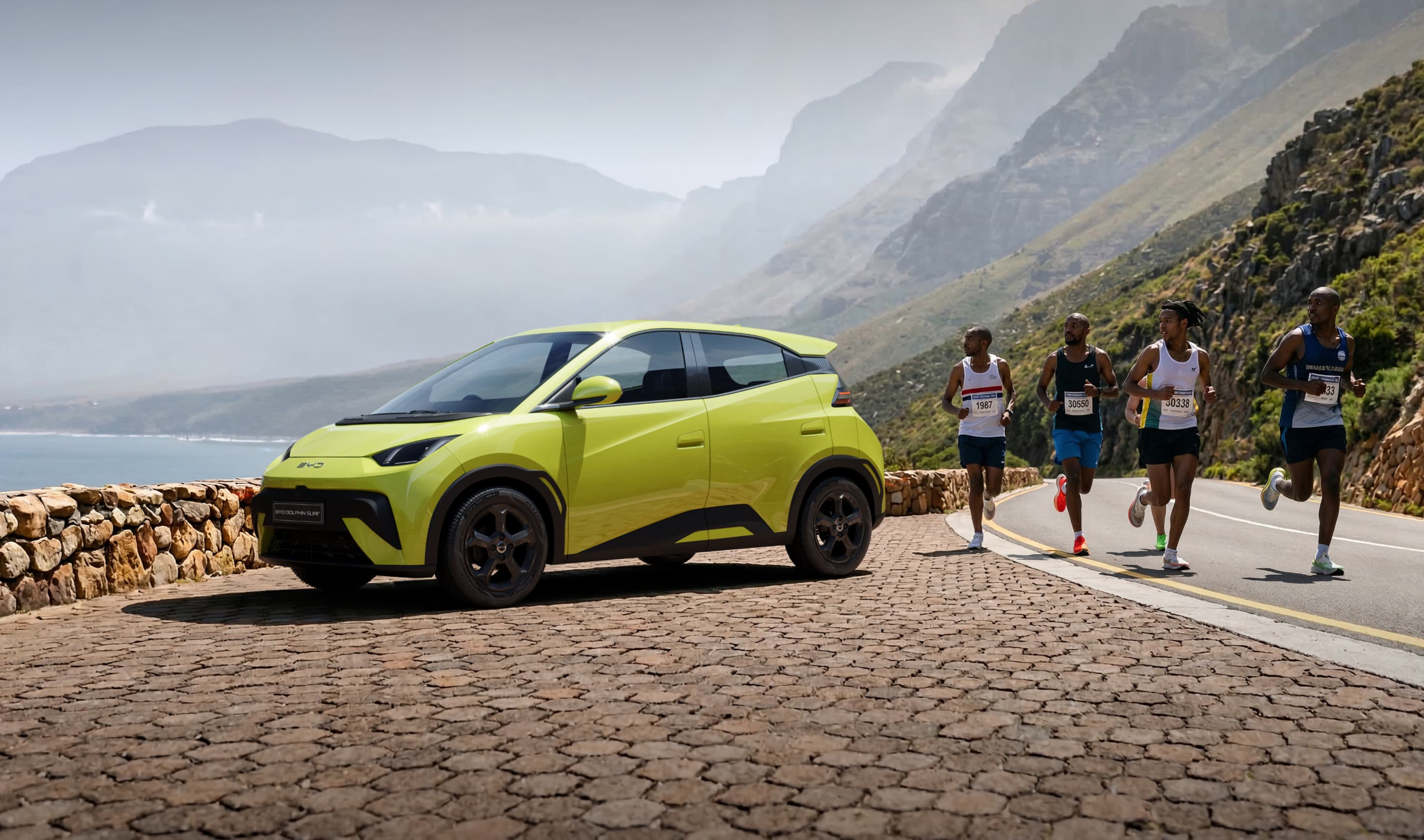 BYD Electric Vehicle